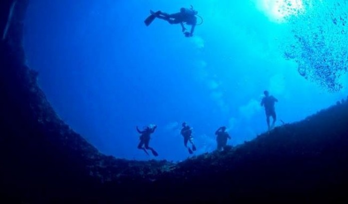 Bahama Divers