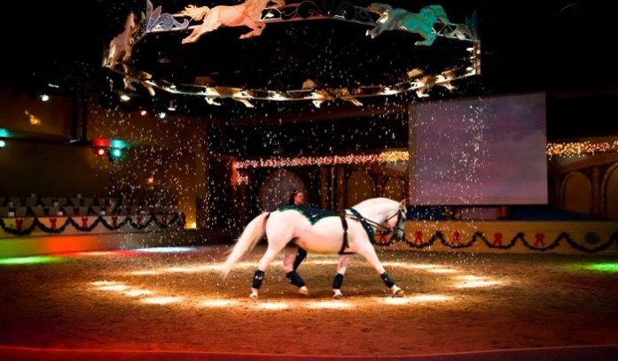 Dancing Horse's Theater and Animal Gardens