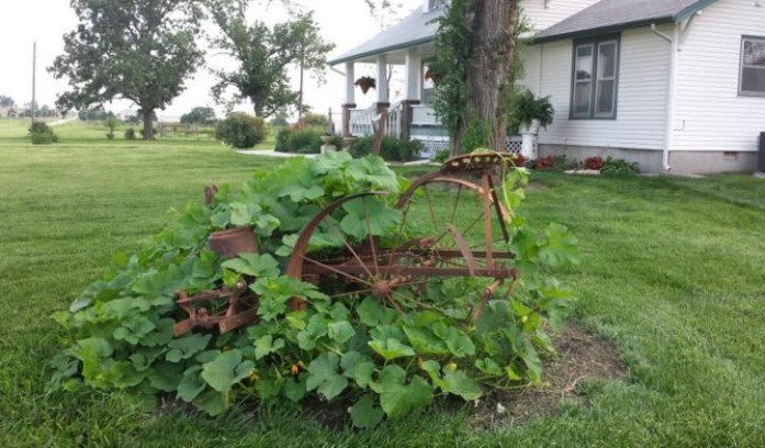 Orchard House Bed & Breakfast