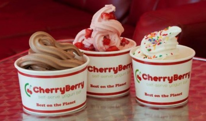 CherryBerry Yogurt Bar
