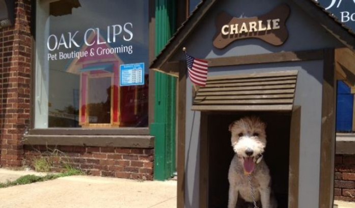 Oak Clips Pet Boutique