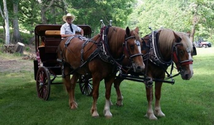 Duncan Carriages